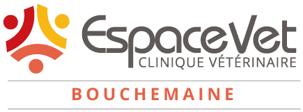 Espace Vet Bouchemaine